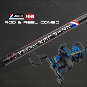 Zziplex Profile GT / Penn Mag 4 Surfcasting Combo